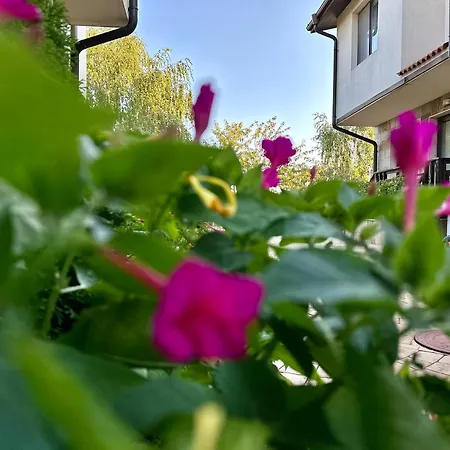 Villa Menada Imperial Heights Slantchev Briag