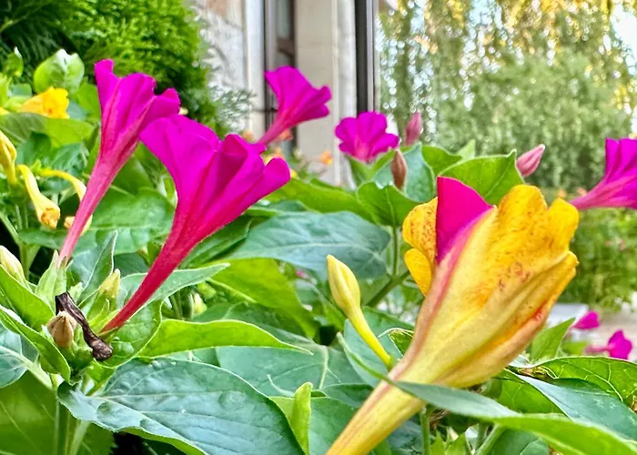 Willa Menada Imperial Heights *